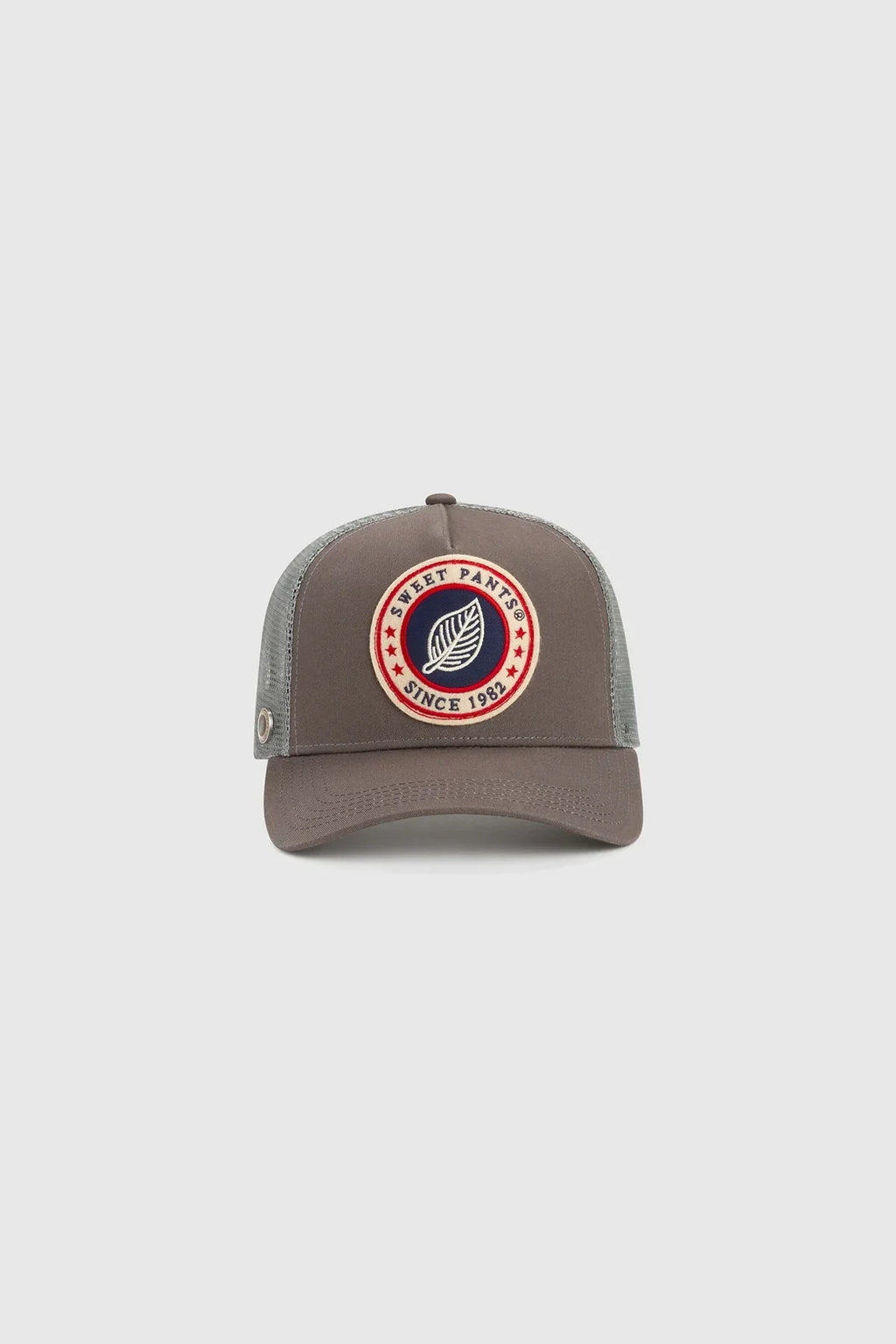 BASIC CT CAP CEMENT