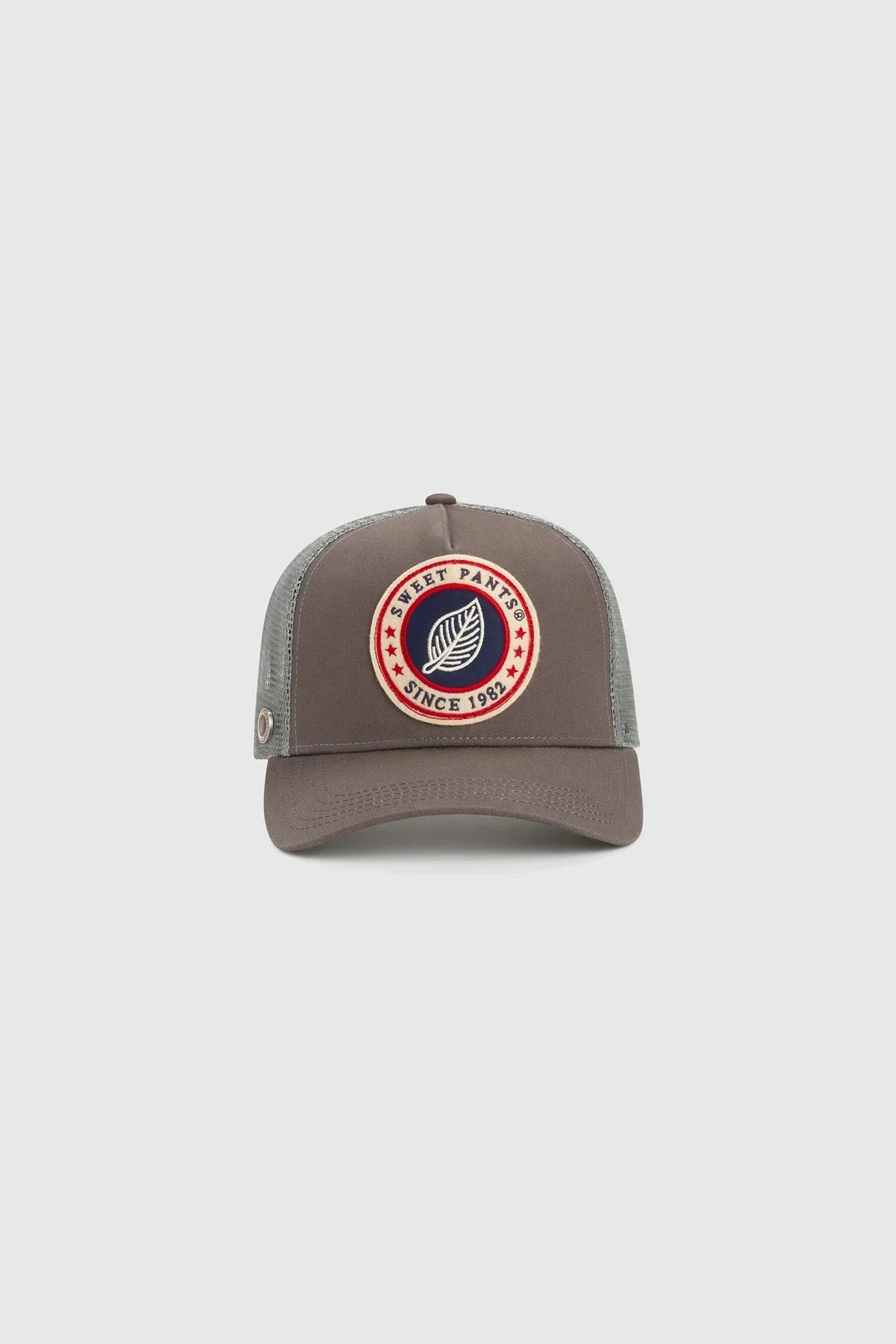 BASIC CT CAP CEMENT